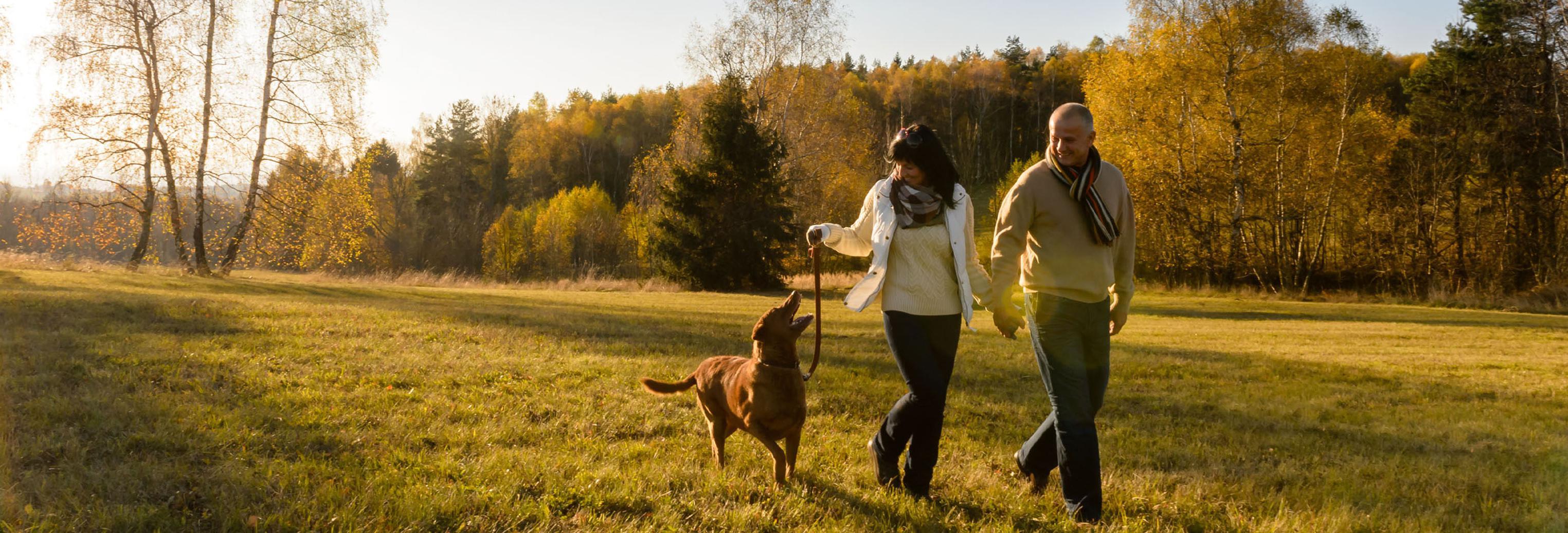 a couple walking a dog in the fall