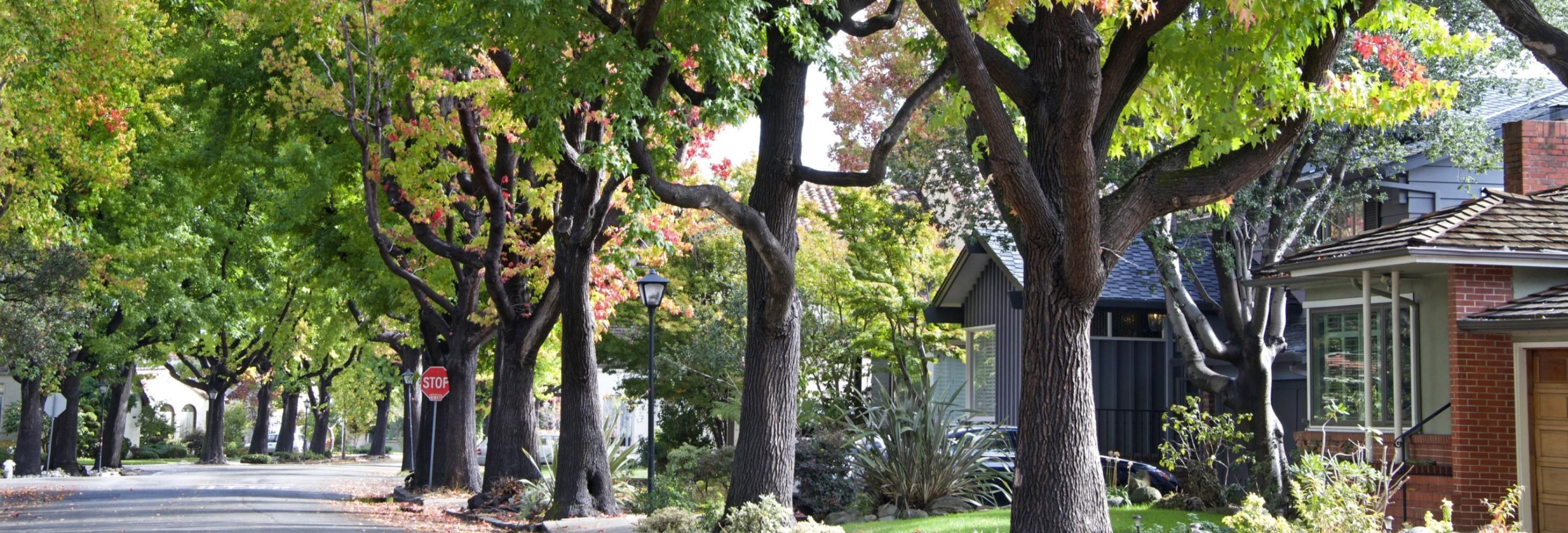 a residential street