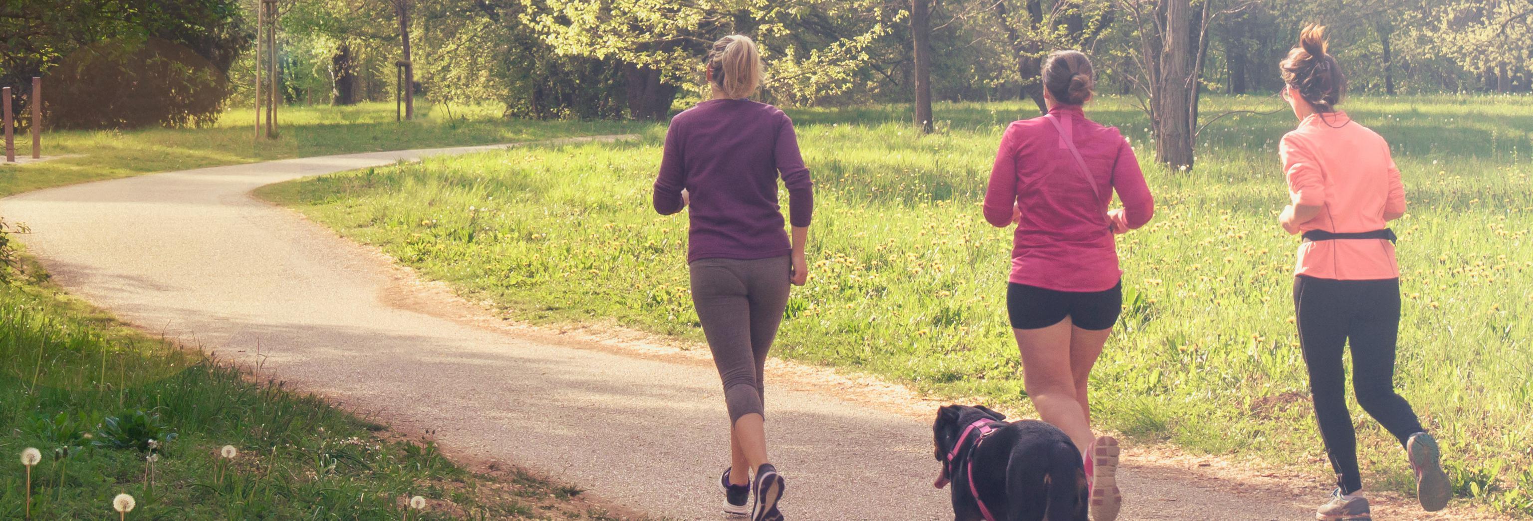 people running in a park