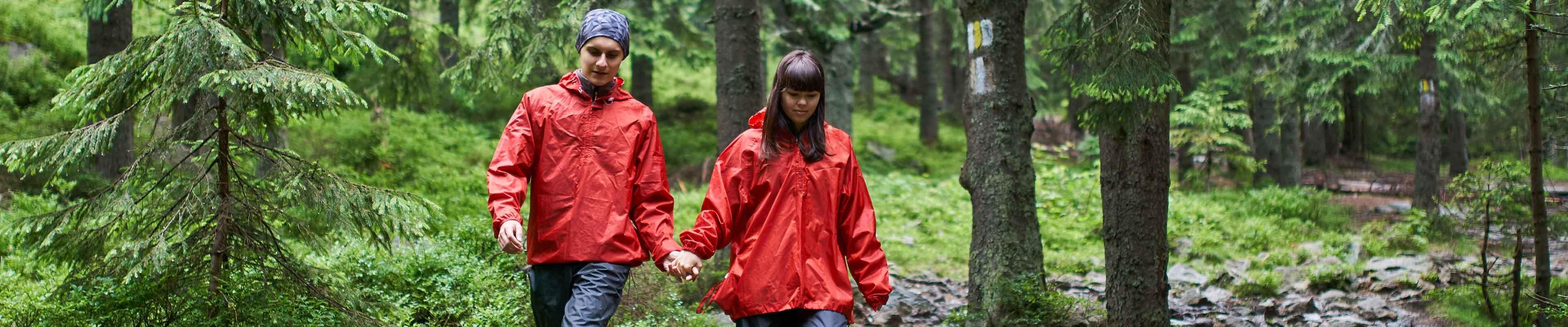 Image of young friends staying motivated through their wellness dream by hiking.