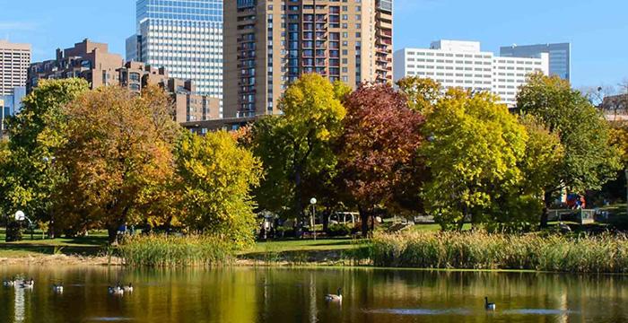 a pond with ducks and trees in front of a city